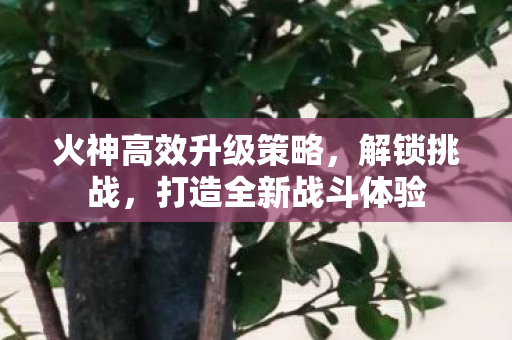 火神高效升级策略图片