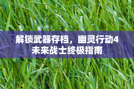 幽灵行动4未来战士终极指南图片