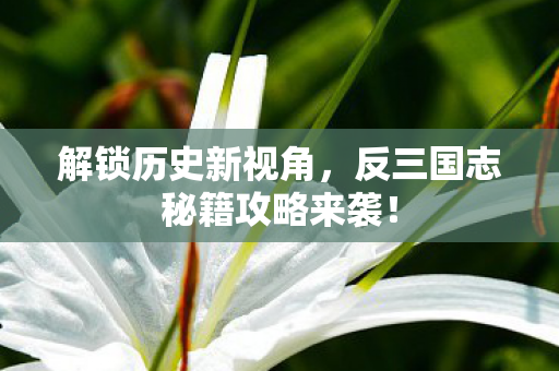 反三国志秘籍攻略来袭图片