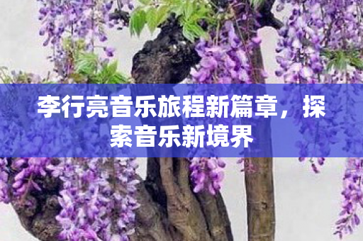 李行亮音乐旅程新篇章图片