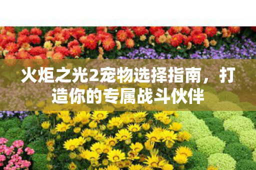 火炬之光2宠物选择指南图片