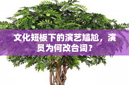 文化短板下的演艺尴尬图片