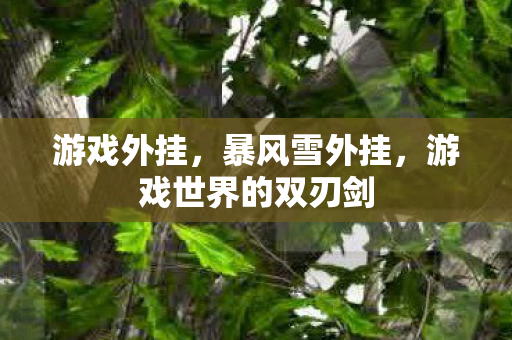 游戏世界的双刃剑图片