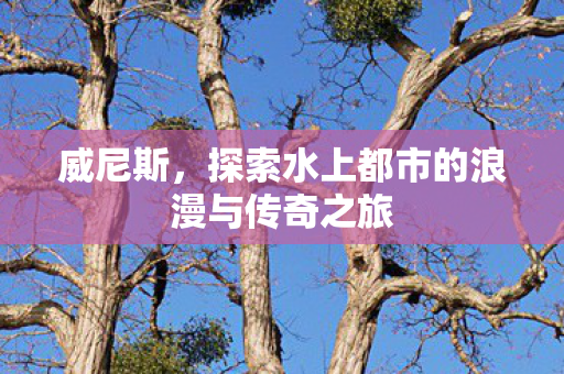 探索水上都市的浪漫与传奇之旅图片