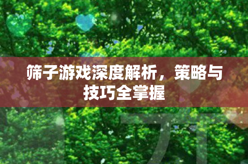 筛子游戏深度解析图片