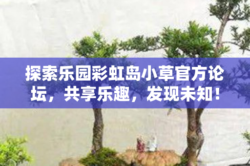 探索乐园彩虹岛小草官方论坛图片