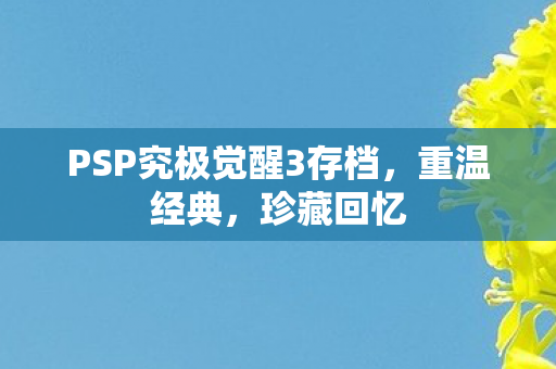 PSP究极觉醒3存档图片