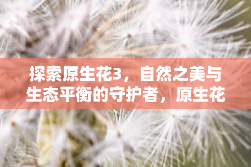 探索原生花3，自然之美与生态平衡的守护者，原生花3，自然之美与生态平衡的守护者