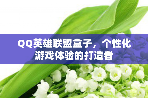 个性化游戏体验的打造者图片