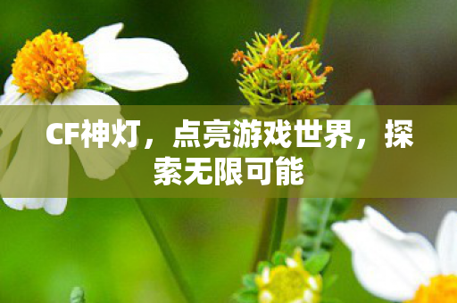 点亮游戏世界图片