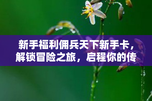 新手福利佣兵天下新手卡图片