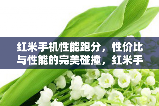 性价比与性能的完美碰撞图片