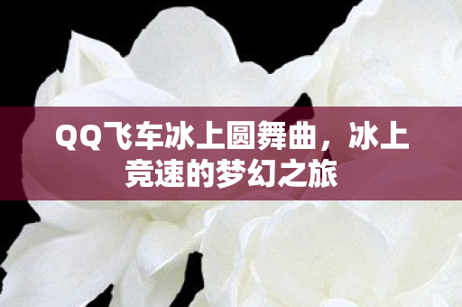QQ飞车冰上圆舞曲图片