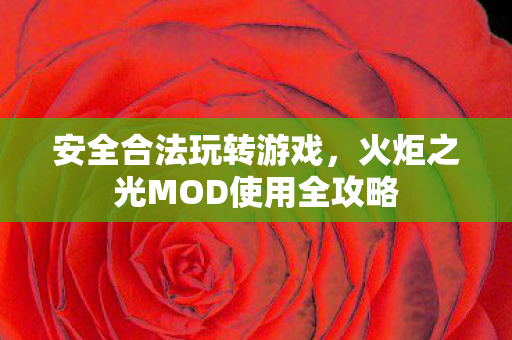 火炬之光MOD使用全攻略图片