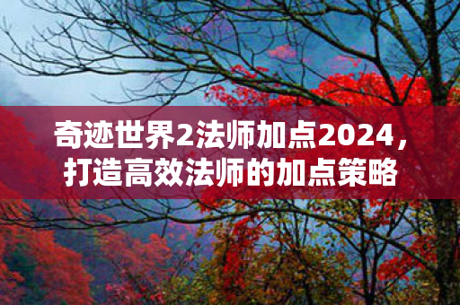 奇迹世界2法师加点2024图片