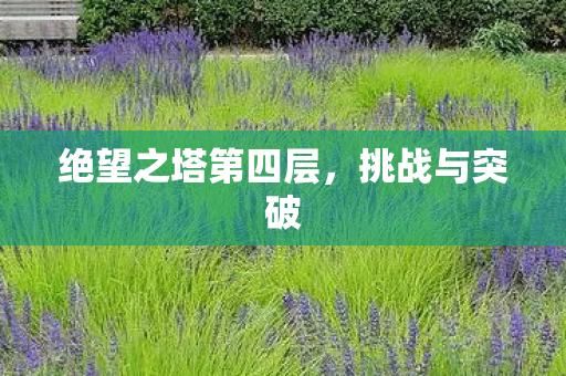 绝望之塔第四层图片