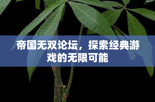 探索经典游戏的无限可能图片