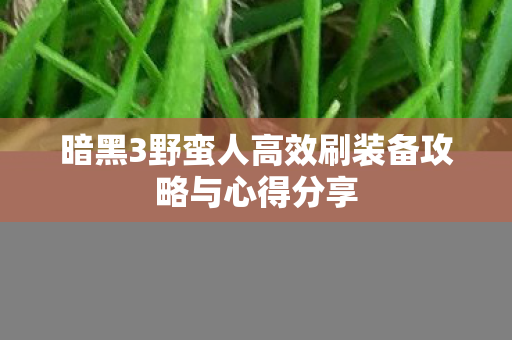 暗黑3野蛮人高效刷装备攻略与心得分享图片