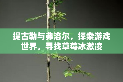 提古勒与弗洛尔,探索游戏世界,寻找草莓冰激凌 提古勒与弗洛尔,探索游戏世界,寻找草莓冰激凌