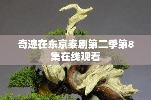 奇迹在东京泰剧第二季第8集在线观看图片