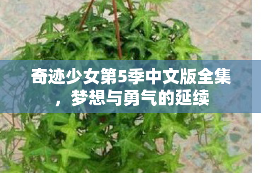 奇迹少女第5季中文版全集图片