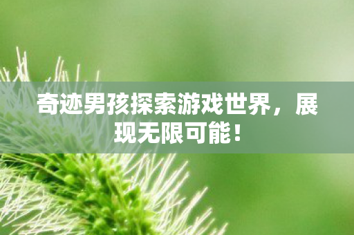 奇迹男孩探索游戏世界图片