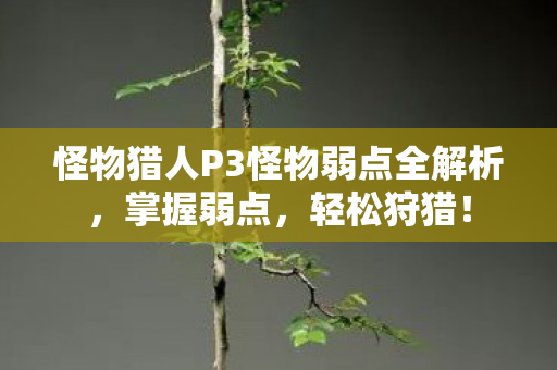 怪物猎人P3怪物弱点全解析，掌握弱点，轻松狩猎！