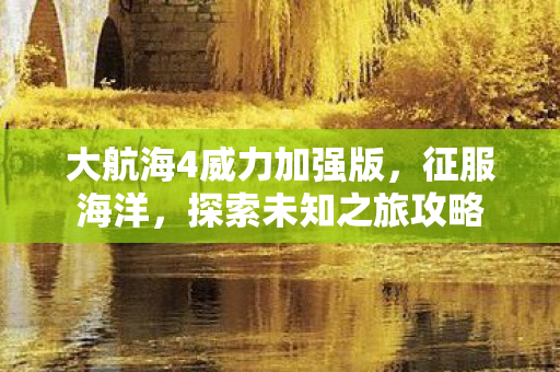 大航海4威力加强版,征服海洋,探索未知之旅攻略 大航海4威力加强版,征服海洋,探索未知之旅攻略