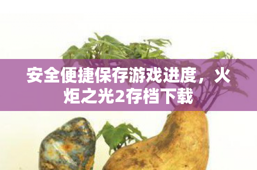 安全便捷保存游戏进度,火炬之光2存档下载 安全便捷保存游戏进度,火炬之光2存档下载
