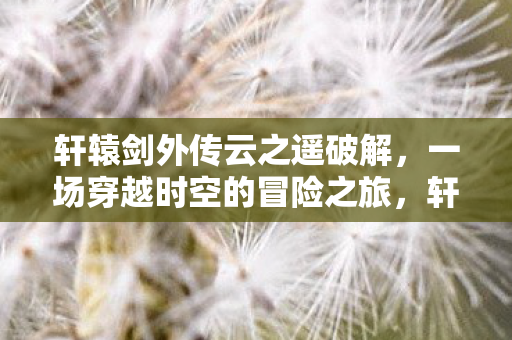 一场穿越时空的冒险之旅图片