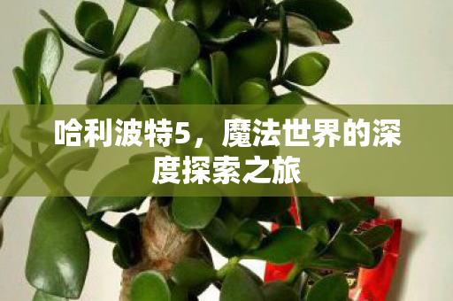 哈利波特5,魔法世界的深度探索之旅 哈利波特5,魔法世界的深度探索之旅