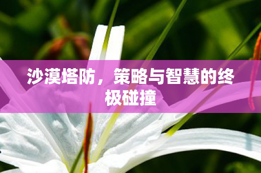 沙漠塔防,策略与智慧的终极碰撞 沙漠塔防,策略与智慧的终极碰撞