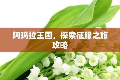 阿玛拉王国,探索征服之旅攻略 阿玛拉王国,探索征服之旅攻略