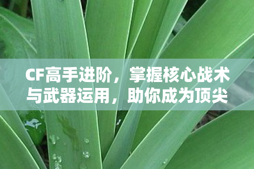 CF高手进阶，掌握核心战术与武器运用，助你成为顶尖玩家
