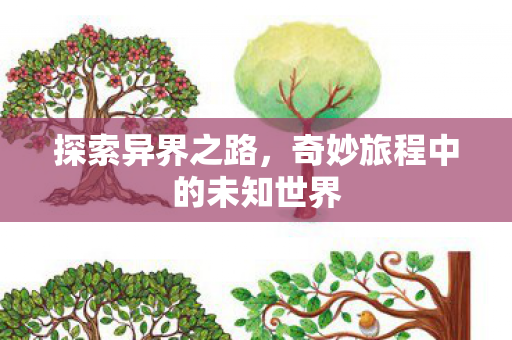 探索异界之路，奇妙旅程中的未知世界
