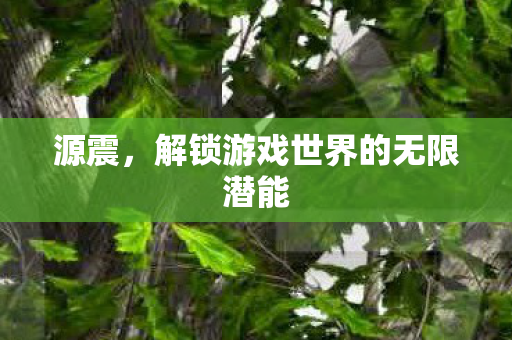 源震,解锁游戏世界的无限潜能 源震,解锁游戏世界的无限潜能