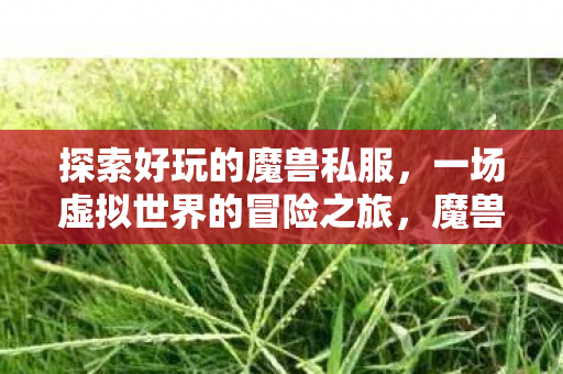 探索好玩的魔兽私服,一场虚拟世界的冒险之旅,魔兽私服,虚拟世界的冒险之旅 探索好玩的魔兽私服,一场虚拟世界的冒险之旅,魔兽私服,虚拟世界的冒险之旅