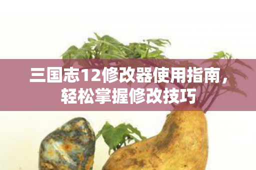 三国志12修改器使用指南图片