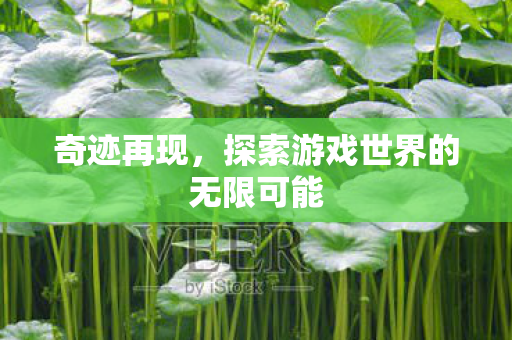 探索游戏世界的无限可能图片