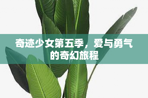 爱与勇气的奇幻旅程图片