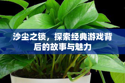 探索经典游戏背后的故事与魅力图片