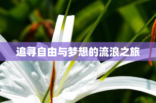 追寻自由与梦想的流浪之旅 追寻自由与梦想的流浪之旅