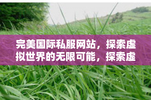 探索虚拟世界的无限可能图片
