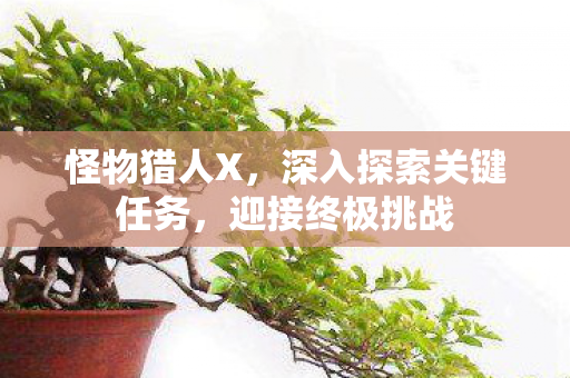 深入探索关键任务图片