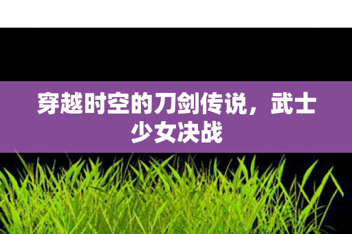 穿越时空的刀剑传说,武士少女决战 穿越时空的刀剑传说,武士少女决战