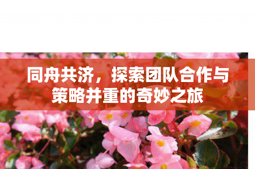 同舟共济,探索团队合作与策略并重的奇妙之旅 同舟共济,探索团队合作与策略并重的奇妙之旅
