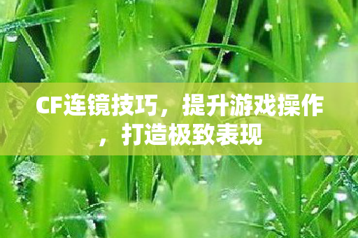 CF连镜技巧图片