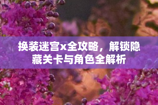 解锁隐藏关卡与角色全解析图片