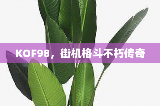 KOF98,街机格斗不朽传奇 KOF98,街机格斗不朽传奇