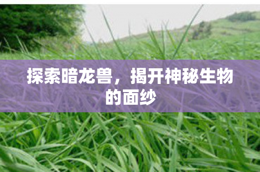 探索暗龙兽，揭开神秘生物的面纱